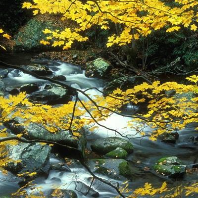 电玩城金鲨银鲨app下载截图